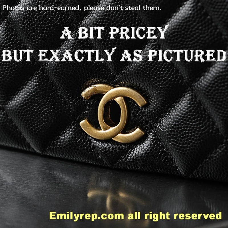 chanel coco handle  Gold 14-24-10cm C0015