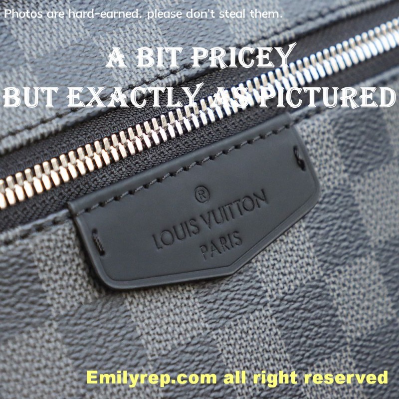 Louis Vuitton Josh N41473