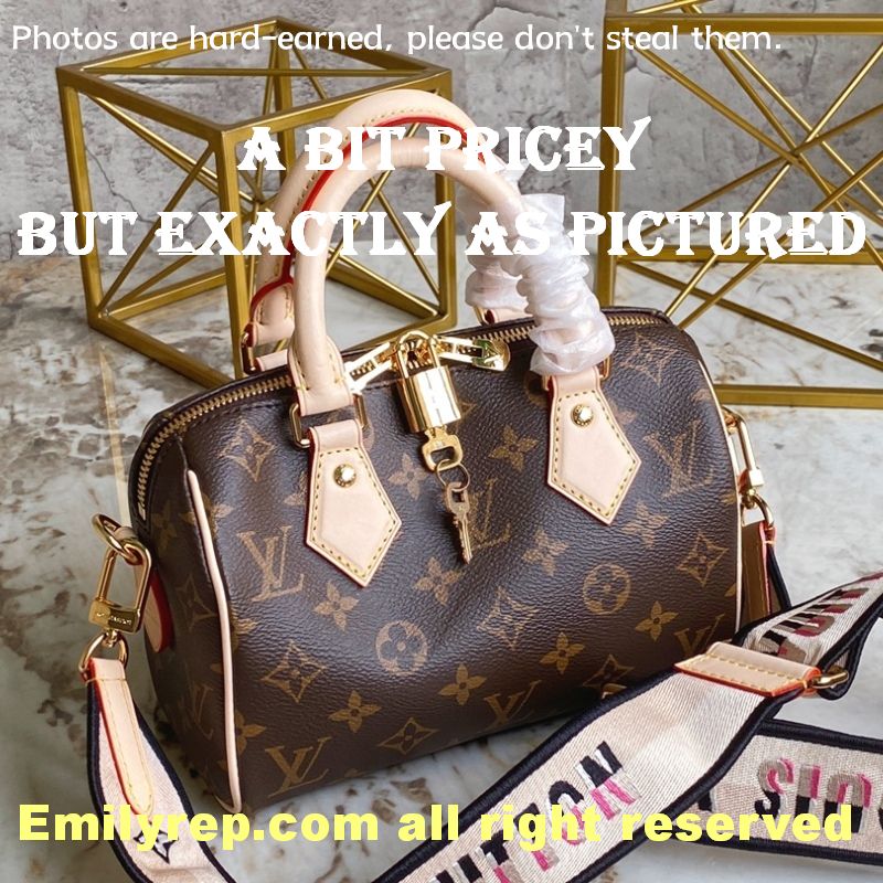 louis vuitton
m46234 speedy