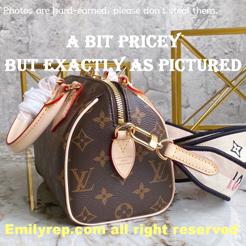 louis vuitton
m46234 speedy