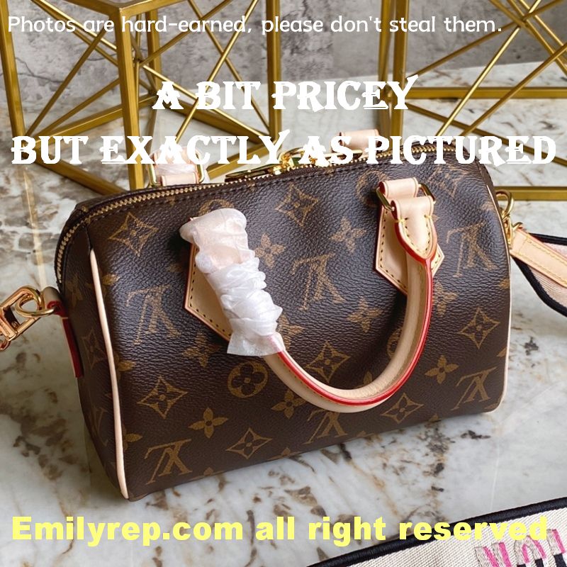 louis vuitton
m46234 speedy