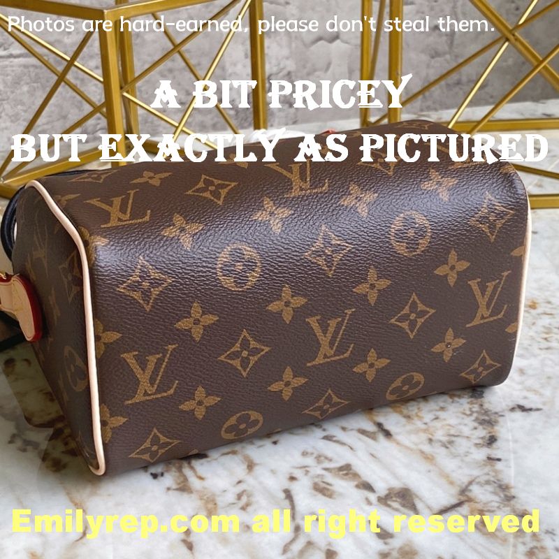 louis vuitton
m46234 speedy