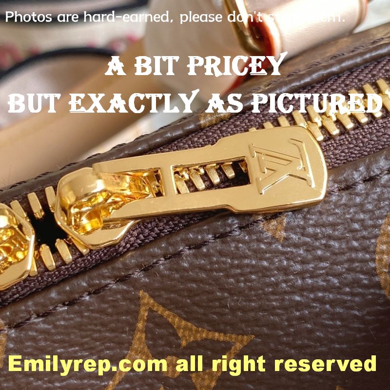 louis vuitton
m46234 speedy