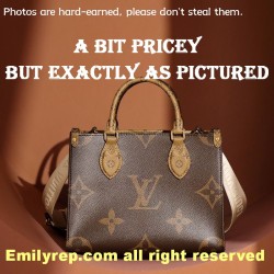 Louis Vuitton M46373 Small Onthego Tote