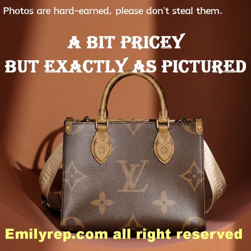 Louis Vuitton M46373 Small Onthego Tote