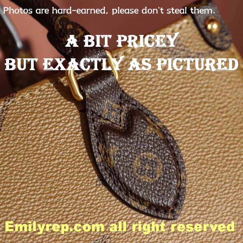 Louis Vuitton M46373 Small Onthego Tote