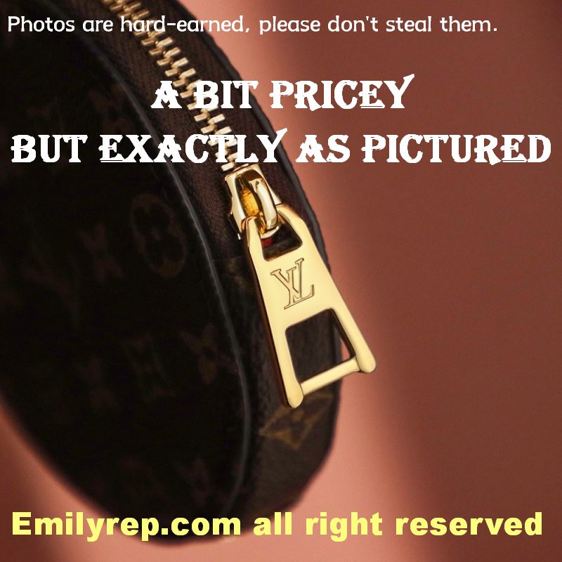 Louis Vuitton M46373 Small Onthego Tote