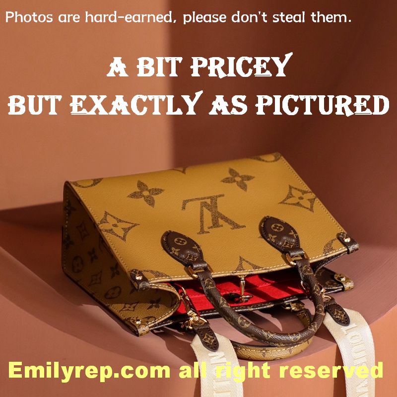 Louis Vuitton M46373 Small Onthego Tote