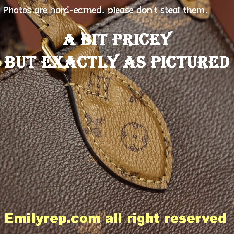 Louis Vuitton M46373 Small Onthego Tote