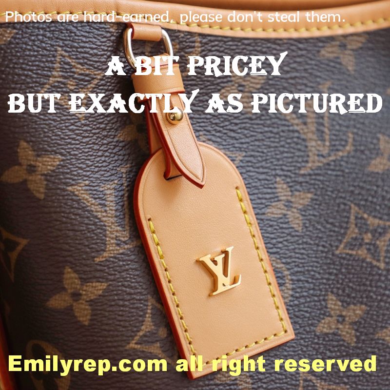 Louis Vuitton CarryAll Medium Tote Bag