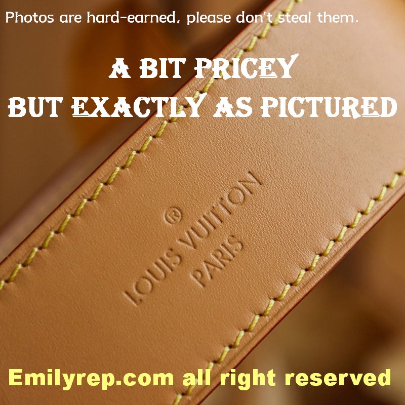 Louis Vuitton CarryAll Medium Tote Bag