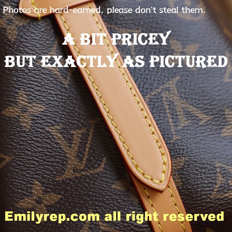 Louis Vuitton CarryAll Medium Tote Bag