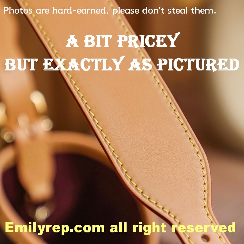 Louis Vuitton CarryAll Medium Tote Bag