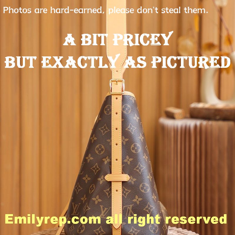 Louis Vuitton CarryAll Medium Tote Bag
