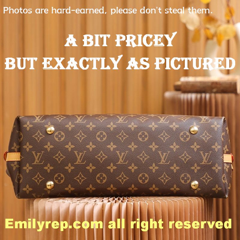 Louis Vuitton CarryAll Medium Tote Bag
