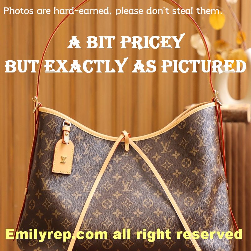 Louis Vuitton CarryAll Medium Tote Bag