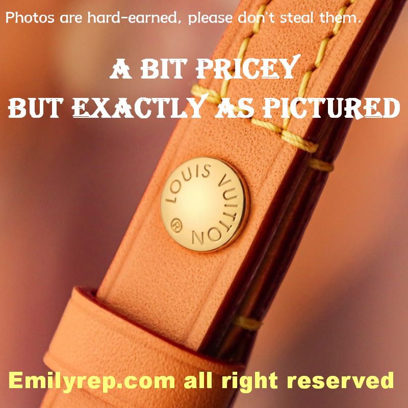 Louis Vuitton M81911 Wallet On Chain Ivy Handbag