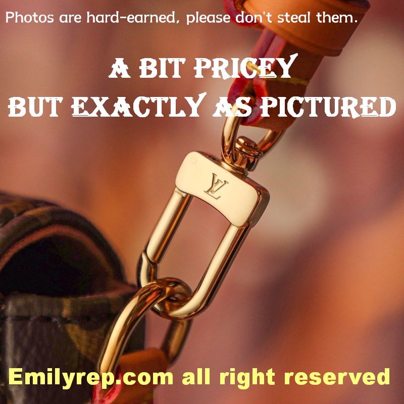 Louis Vuitton M81911 Wallet On Chain Ivy Handbag