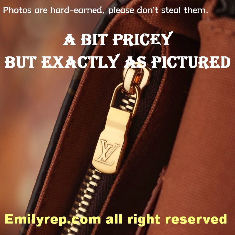 Louis Vuitton M81911 Wallet On Chain Ivy Handbag