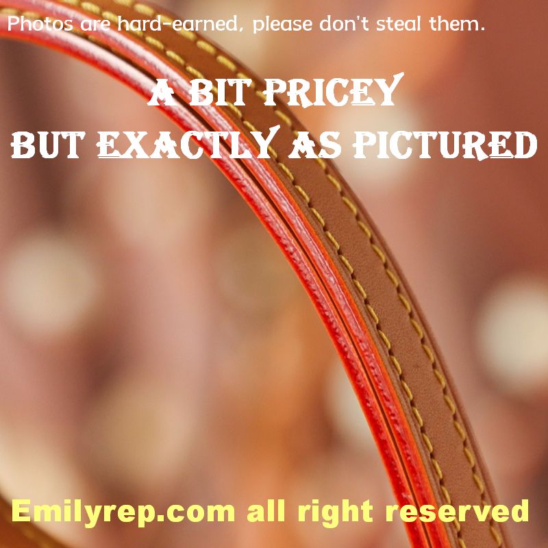 Louis Vuitton M81911 Wallet On Chain Ivy Handbag