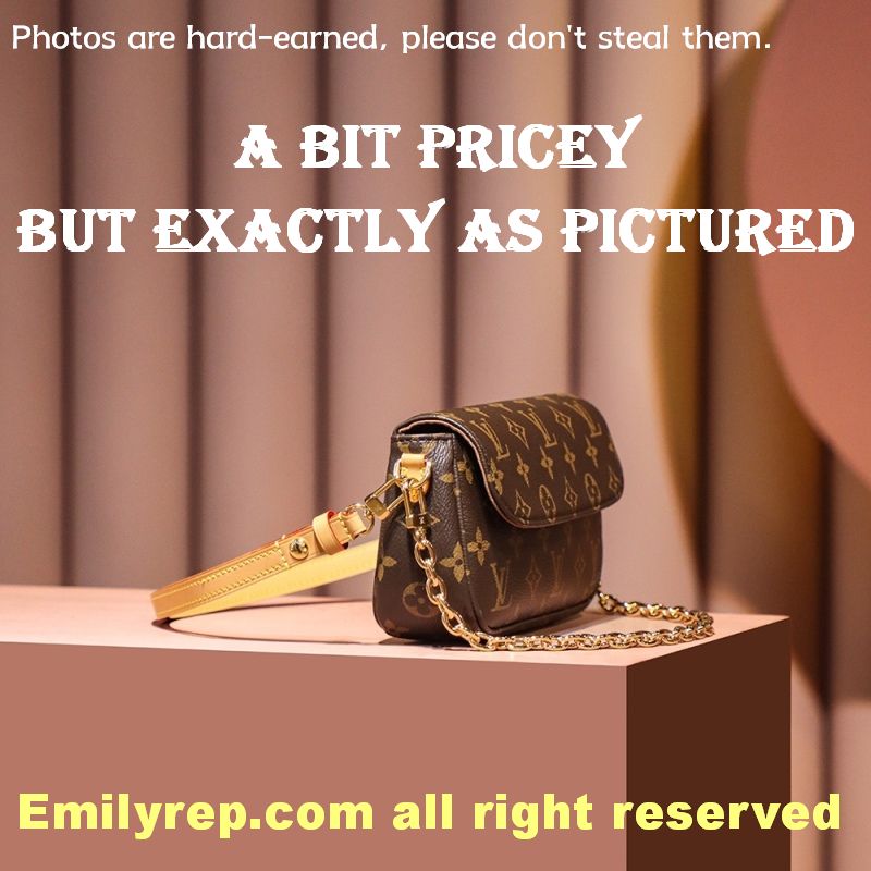 Louis Vuitton M81911 Wallet On Chain Ivy Handbag