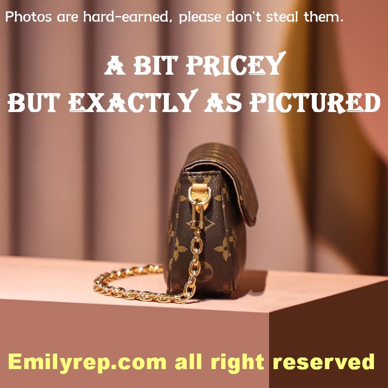 Louis Vuitton M81911 Wallet On Chain Ivy Handbag