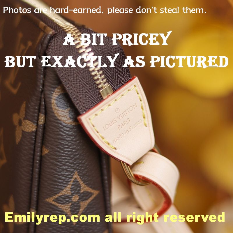 Louis Vuitton M40712 Pochette Accessoires Zippy Wallet
