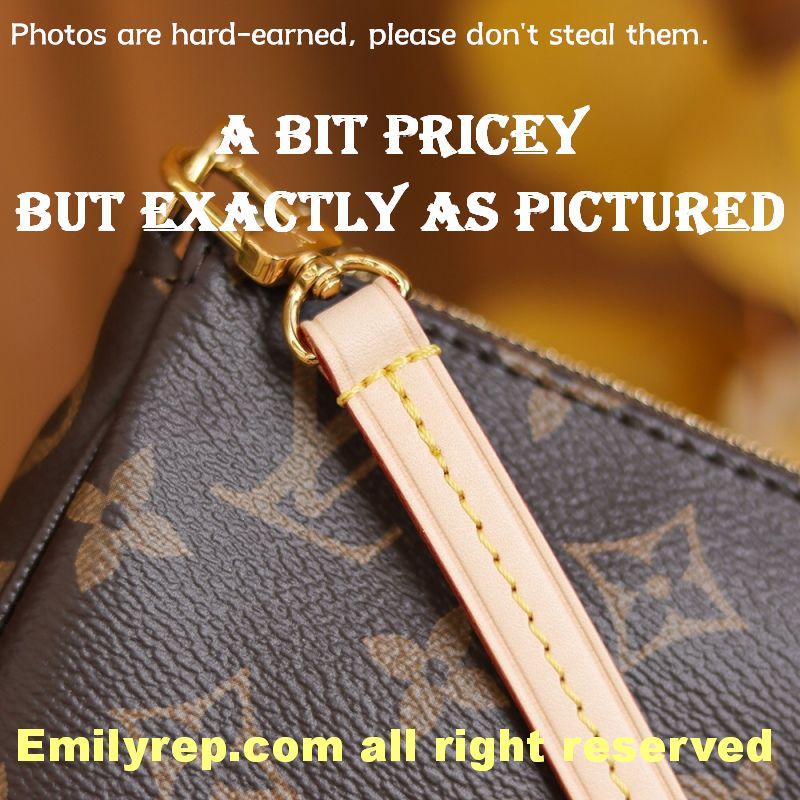 Louis Vuitton M40712 Pochette Accessoires Zippy Wallet