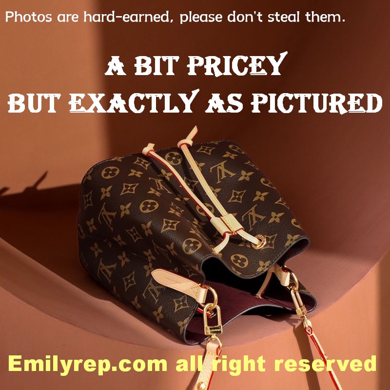 Louis Vuitton M46581 Noe Noe BB New Bucket Bag