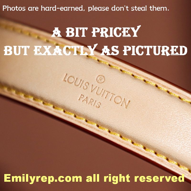 Louis Vuitton M46581 Noe Noe BB New Bucket Bag