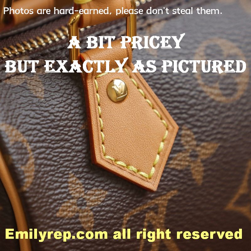 Louis Vuitton M810865 Nano Speedy Mini Bag