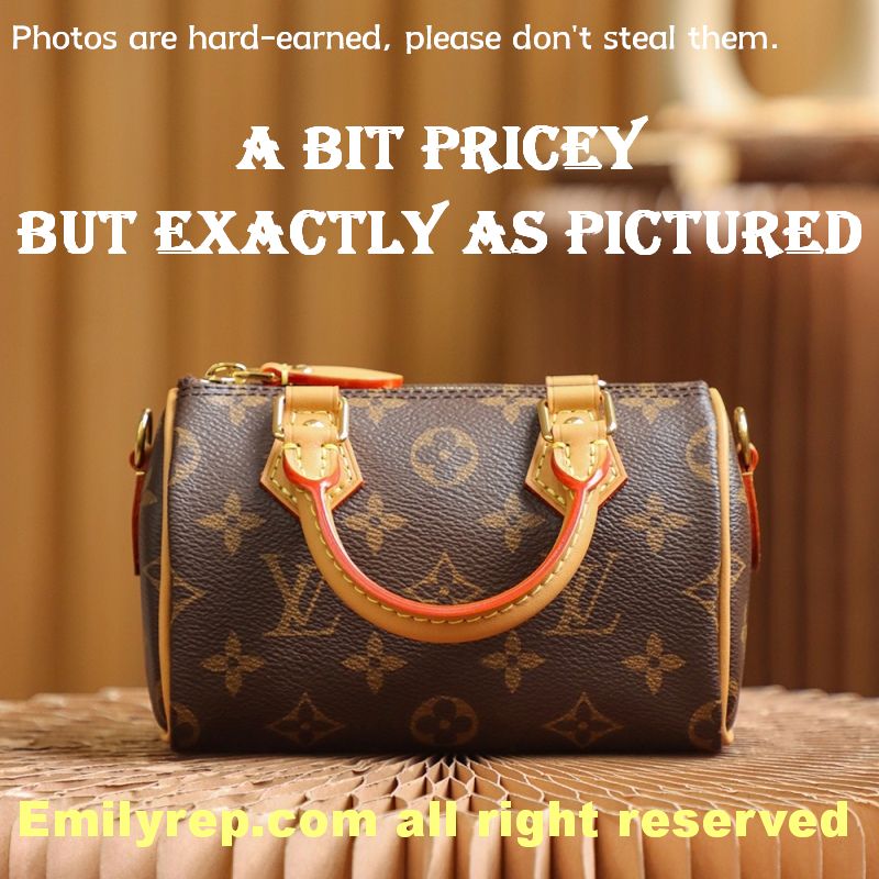 Louis Vuitton M810865 Nano Speedy Mini Bag