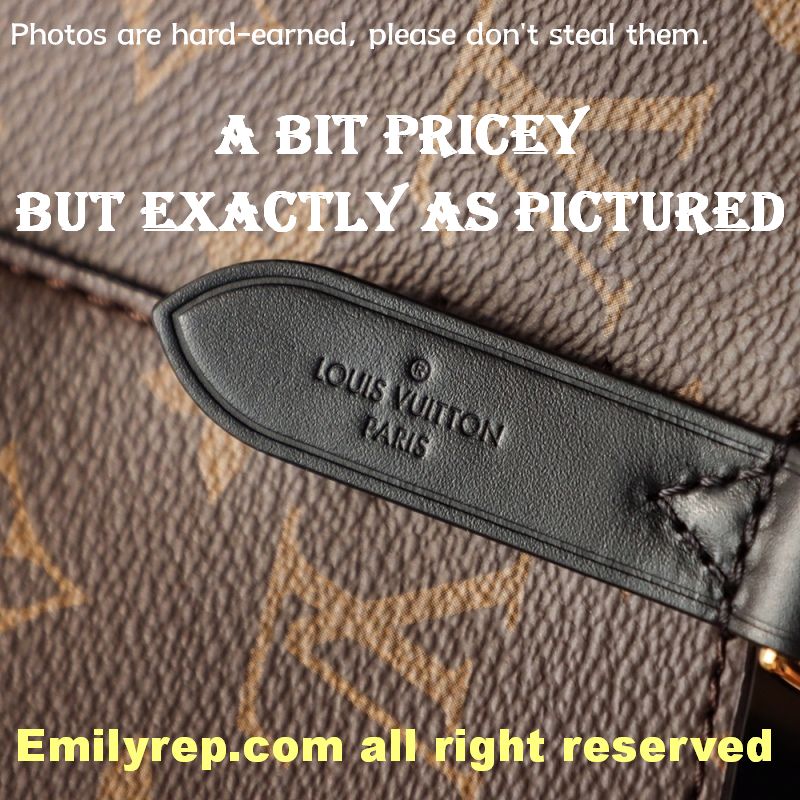 Louis Vuitton M44020 Black NéOnoé Bucket Bag