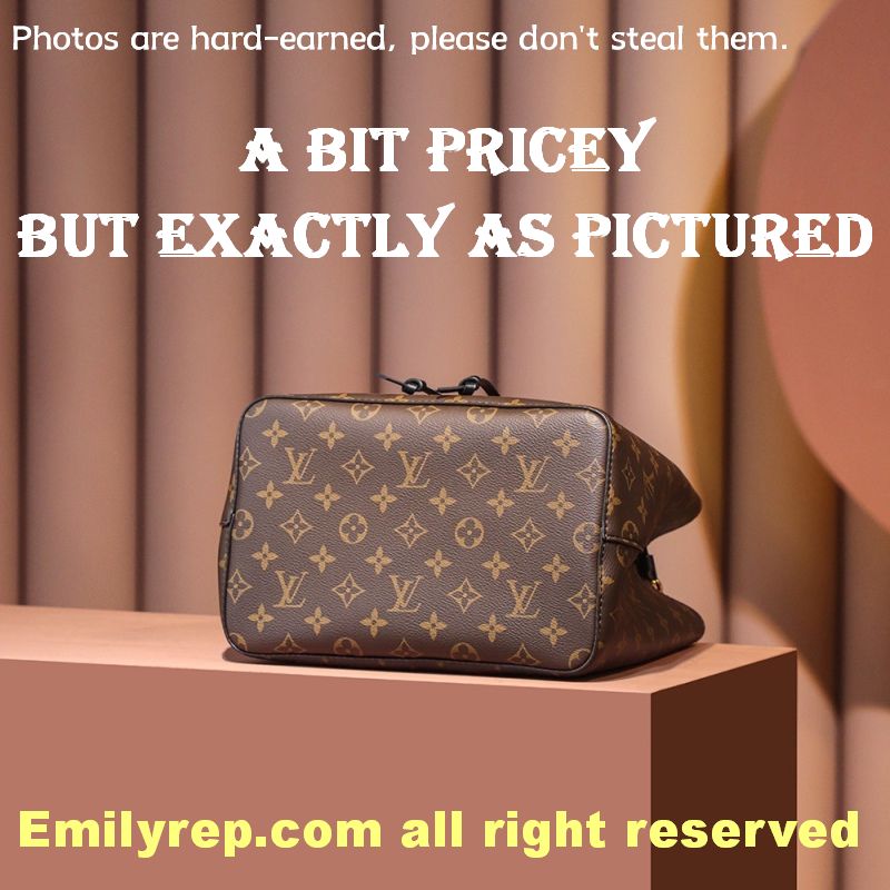 Louis Vuitton M44020 Black NéOnoé Bucket Bag