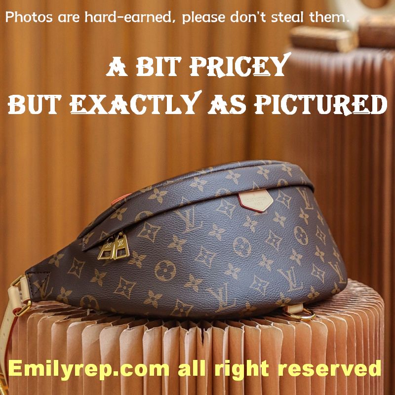 Louis Vuitton M43644 Monogram Canvas Bumbag Waist Bag