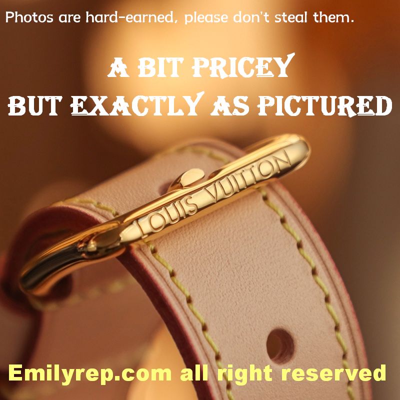 Louis Vuitton M43644 Monogram Canvas Bumbag Waist Bag