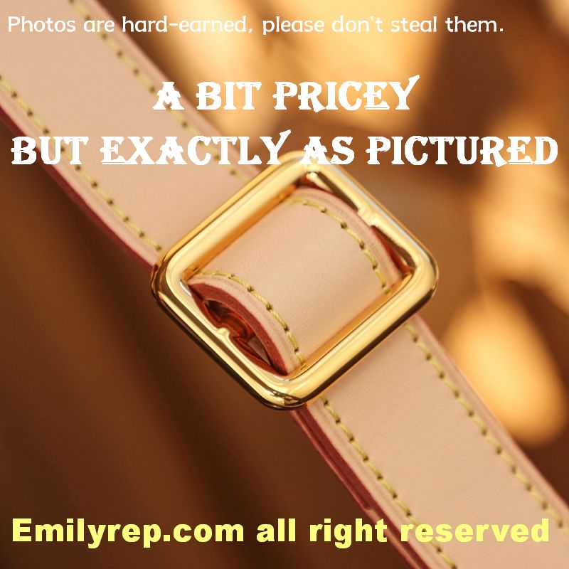 Louis Vuitton M43644 Monogram Canvas Bumbag Waist Bag