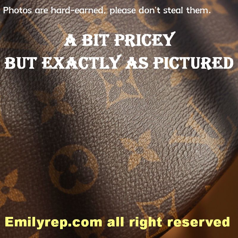 Louis Vuitton M43644 Monogram Canvas Bumbag Waist Bag