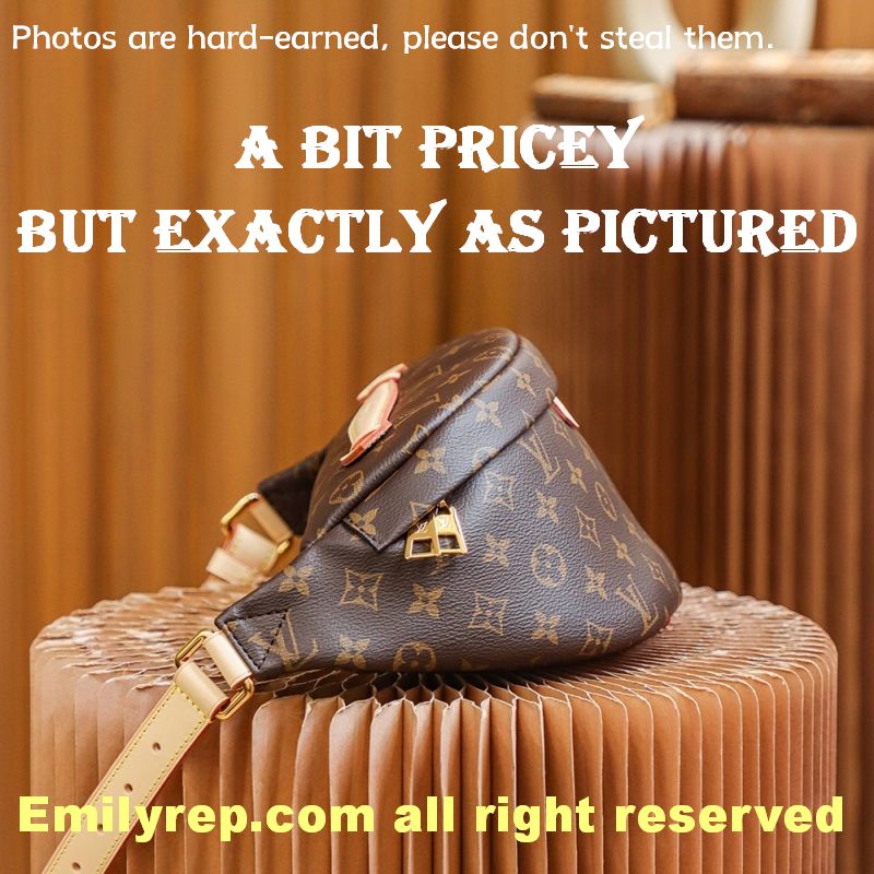 Louis Vuitton M43644 Monogram Canvas Bumbag Waist Bag