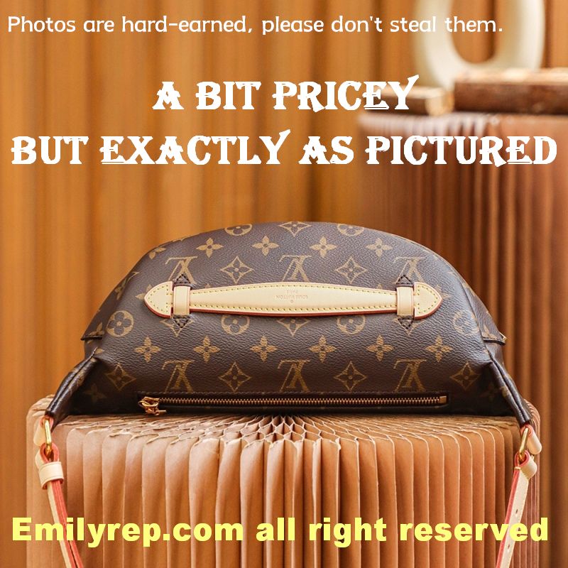 Louis Vuitton M43644 Monogram Canvas Bumbag Waist Bag