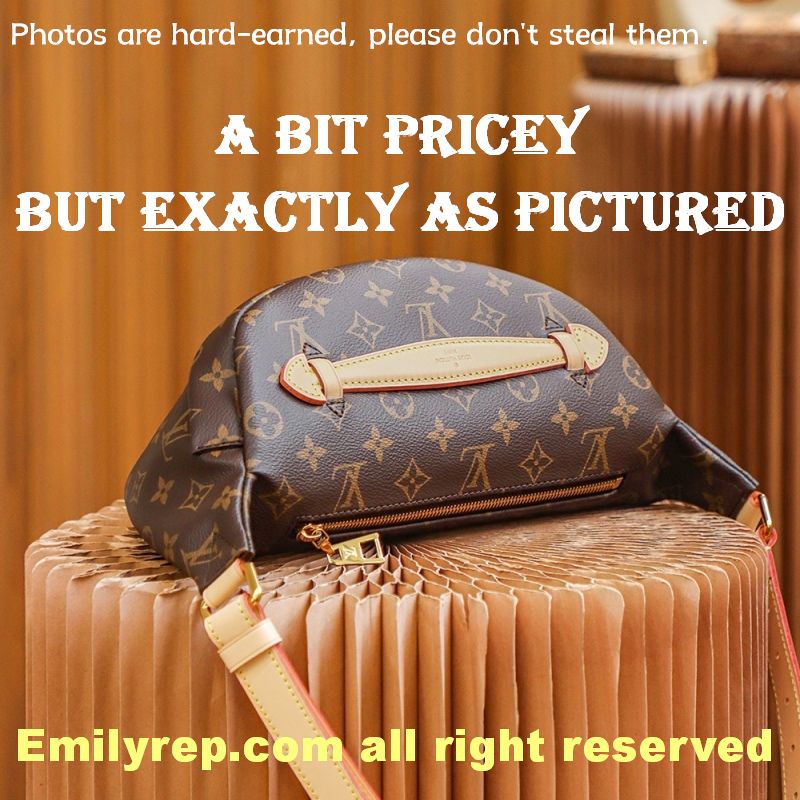 Louis Vuitton M43644 Monogram Canvas Bumbag Waist Bag