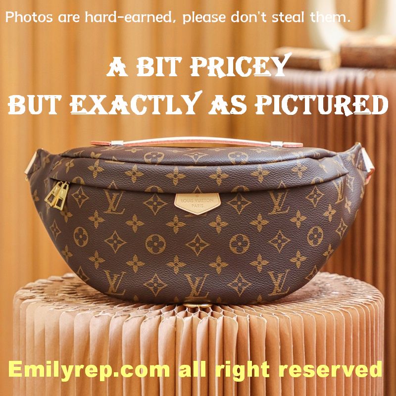 Louis Vuitton M43644 Monogram Canvas Bumbag Waist Bag
