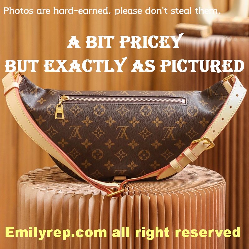 Louis Vuitton M43644 Monogram Canvas Bumbag Waist Bag