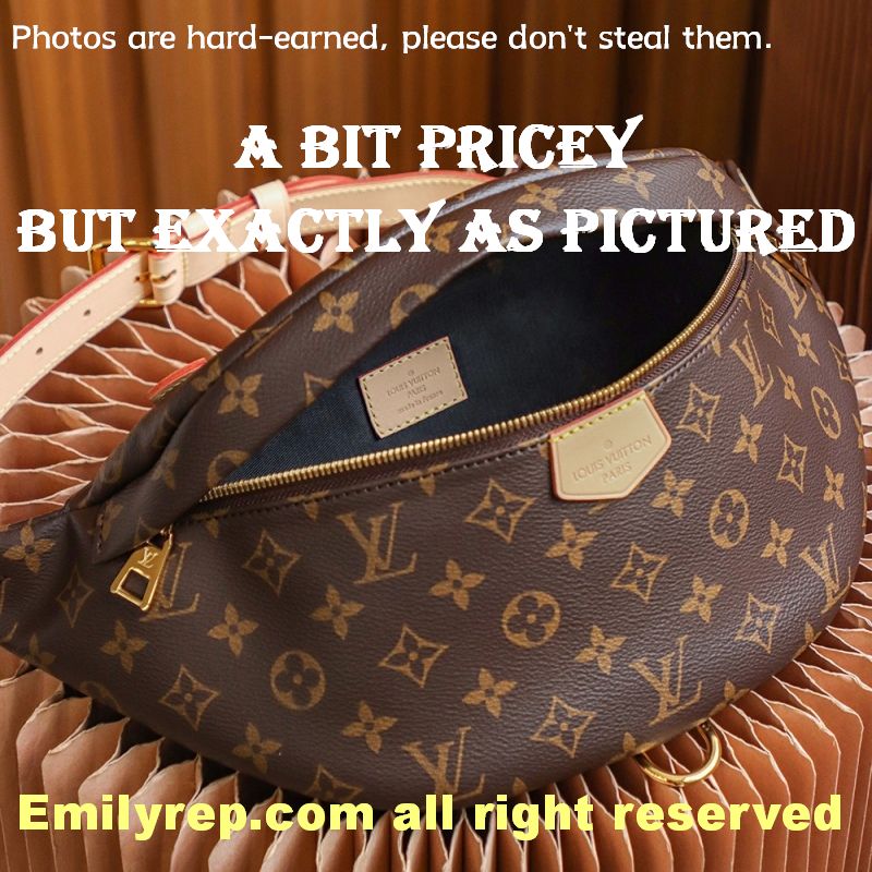 Louis Vuitton M43644 Monogram Canvas Bumbag Waist Bag