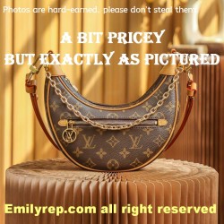 Louis Vuitton M81098 Half-Moon Baguette Loop Handbag