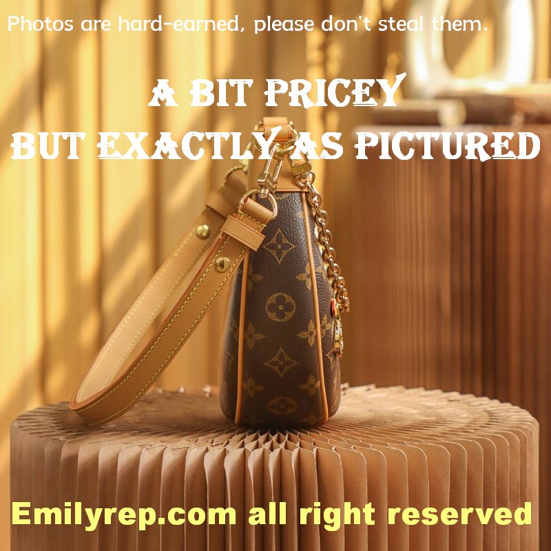 Louis Vuitton M81098 Half-Moon Baguette Loop Handbag