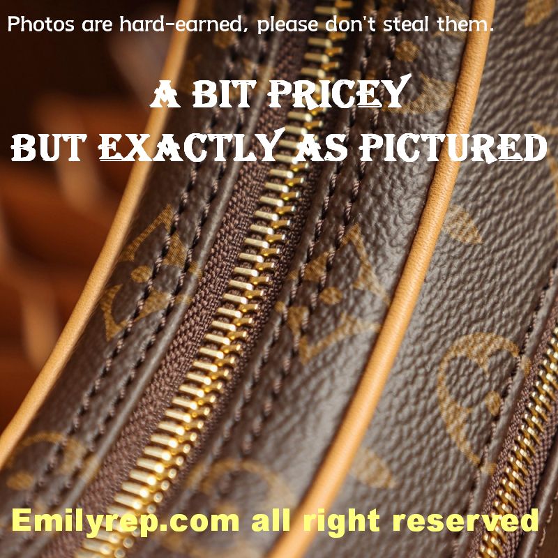 Louis Vuitton M81098 Half-Moon Baguette Loop Handbag