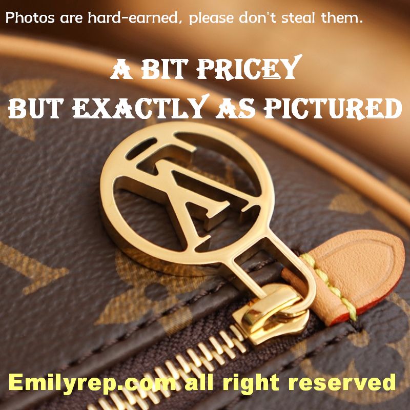 Louis Vuitton M81098 Half-Moon Baguette Loop Handbag