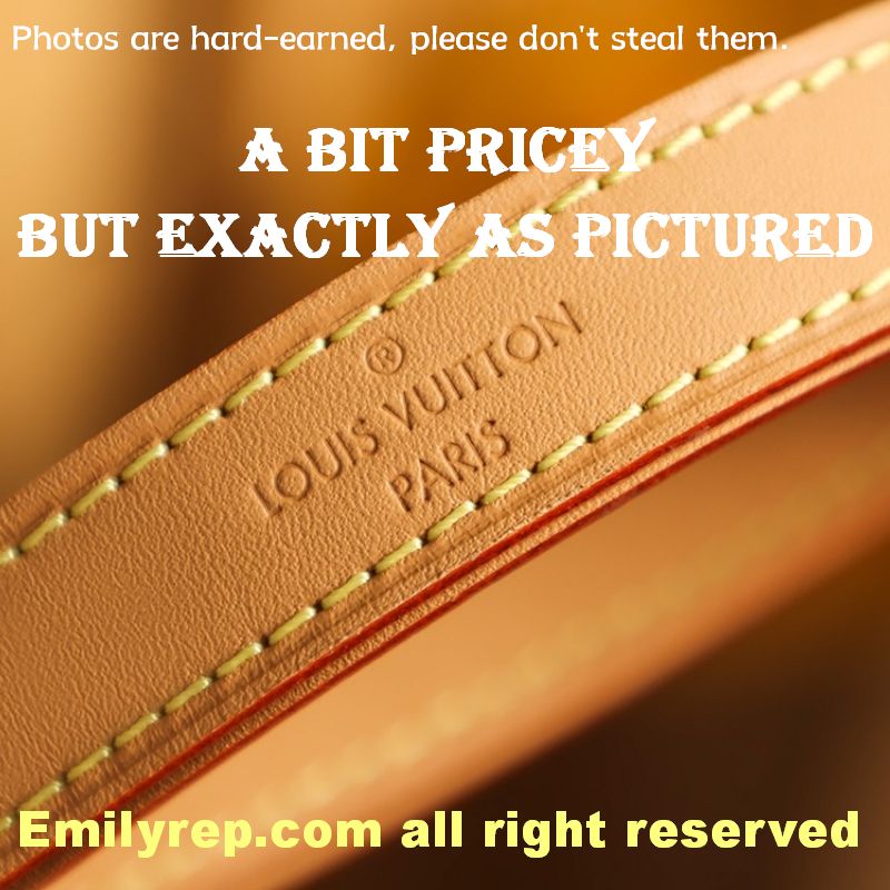 Louis Vuitton M81098 Half-Moon Baguette Loop Handbag