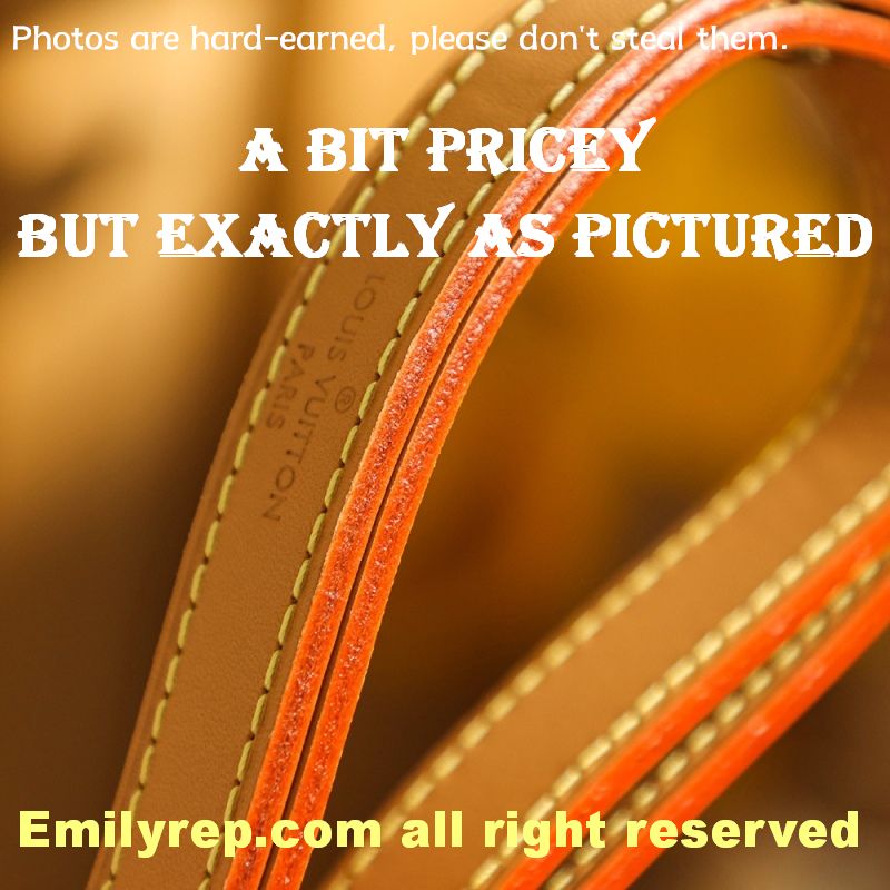 Louis Vuitton M81098 Half-Moon Baguette Loop Handbag